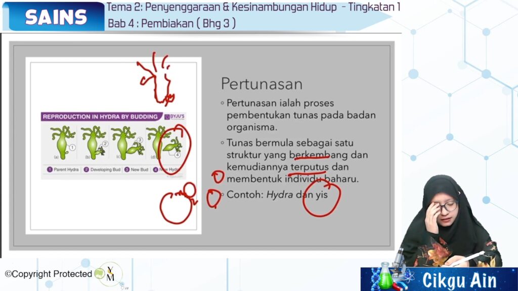 Topik 04 Pembiakan Jom Tuisyen