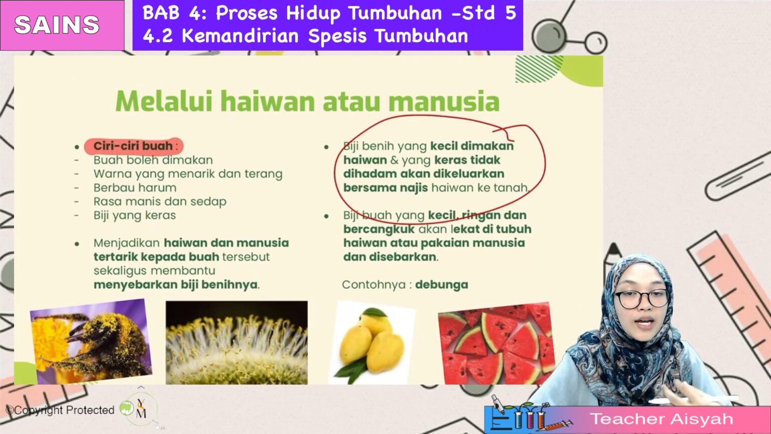 S5SAIT0404 Kemandirian Spesies Tumbuhan – Jom Tuisyen